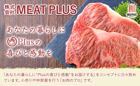 訳あり 【A4～A5】くまもと 黒毛和牛 しゃぶしゃぶ すき焼き 750g セット《30日以内に出荷予定(土日祝除く)》熊本県 大津町 黒毛和牛 肉 お肉 和牛 A5 A4 小分け MEAT PLUS