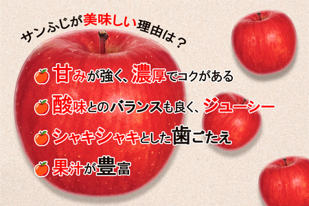 高橋りんご園　『サンふじ』5kg(12～14玉)　フルーツキャップ付き　贈答用にもオススメ！/さんふじ サンフジ サンふじ 送料無料 矢巾町産 りんご 予約 蜜 しゃきしゃき シャキシャキ 甘い 酸味 贈答 ギフト プレゼント リンゴ 林檎 果物 くだもの フルーツ 岩手県 矢巾町