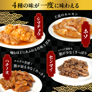 味つけ ホルモン 4種 食べ比べセット 800g（ホルモン・テッチャン・センマイ・ハチノス 各200g ） 