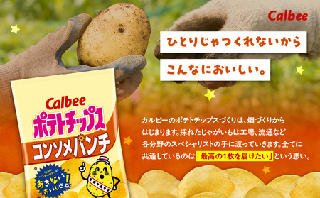 カルビー ポテトチップス【コンソメパンチ】16袋 K194-002_05 菓子
