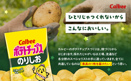 カルビー ポテトチップス【のりしお】16袋 K194-002_07 菓子