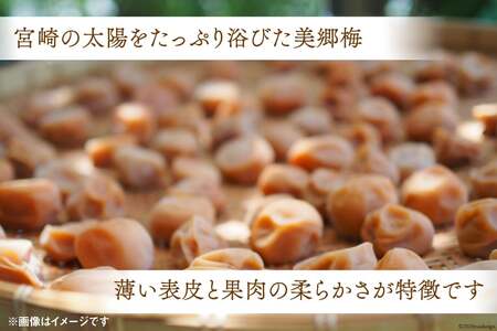 美郷町 詰め合わせ 明治神宮 秋の例大祭 奉献品 セット 美郷梅 うまみ昆布 芳香しそ 各200g 田舎しそ 400g 栗きんとん180g 2本 [春夏秋冬いっつもや 宮崎県 美郷町 31ab0131]