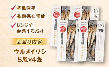 干物 【電子レンジで簡単】干物「ウルメイワシ」20尾 島根県松江市/有限会社ヤマヲ水産[ALDB008] 干物 干物