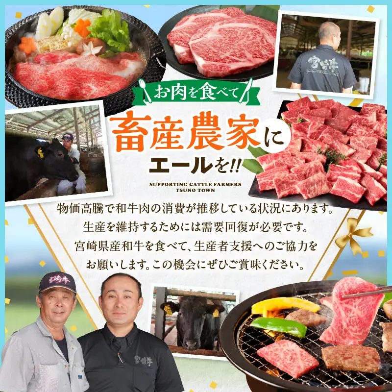 【畜産農家応援!!】≪肉質等級4等級以上≫宮崎県産黒毛和牛霜降り肩ロース(焼肉)計600g 肉 牛 牛肉 おかず 国産_T030-1936