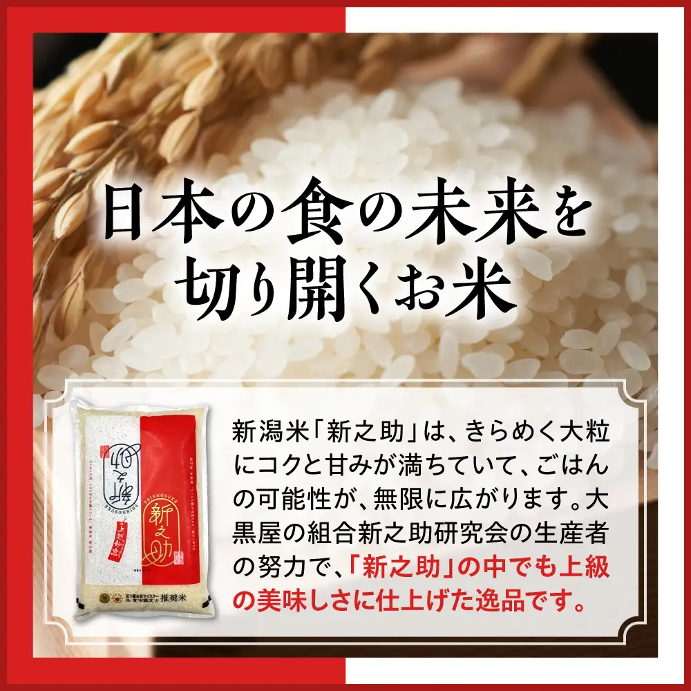 【定期便】【2026年7月上旬より発送】新潟県上越・妙高産新之助5kg×2回（計10kg）