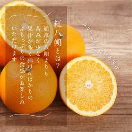 先行予約!紅はっさく 約5kg/12～18個入り(L～2Lサイズ)こだわり農家厳選!【1596975】
