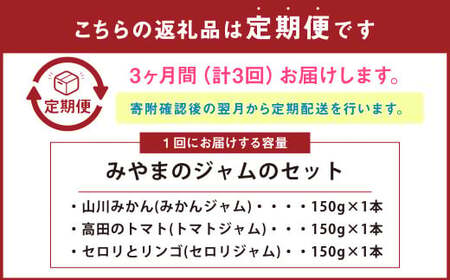 B54 【3ヶ月定期便】 太陽の恵み みやまのジャムのセット 3本入 調味料 ジャム トースト 手作り 詰合せ みかん トマト セロリ 福岡県 みやま市