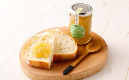 A309 太陽の恵み みやまのジャム セロリとリンゴ 6本入 調味料 ジャム トースト 手作り セロリ リンゴ 福岡県 みやま市