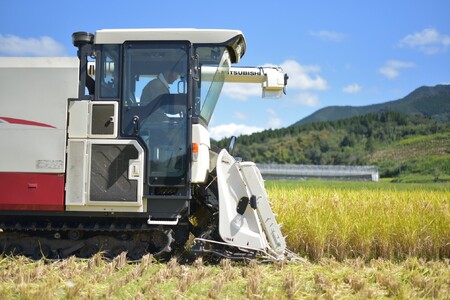 白米 高橋さん家のおいしいお米 5kg ヒノヒカリ 国産米 米 ライス 主食 ご飯 おにぎり
