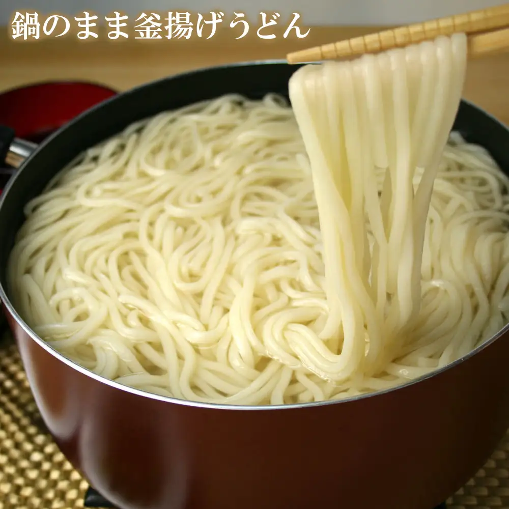 ふっくらモチモチ神埼生うどん 10袋入(H014145)