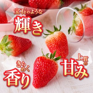 a30-191　いちご 静岡 限定 「 きらぴ香 」計約3.3Kg 12パック