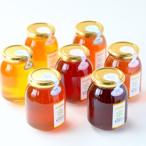 【数量限定10セット】【ハチミツ定期便】【先行予約受付】【令和9年5月発送開始】『プレミアム全7種』搾りたて！季節を月ごとに楽しむ「田舎はちみつ」無添加生ハチミツ全7種(500g) ／ 無添加 非加熱 生はちみつ 天然 ハチミツ 蜂蜜 7種 プレミアム 瓶 四季 定期便 7ヵ月 茨城県 五霞町