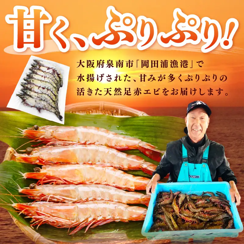 大阪府泉南市産 天然足赤エビ 300g【058D-008】