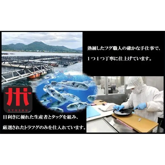 【トラフグ薄造り大皿セット】ふぐ専門店ふくます水産「博多の台所：福岡中央卸売市場」より直送 | さかな 食品 水産 ふぐ