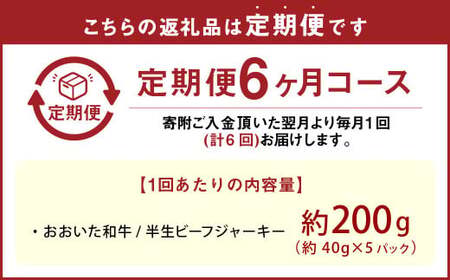 【6カ月定期便】【黒毛和牛】 おおいた和牛／半生ビーフジャーキー 約200g（約40g×5P）×6回 計約1.2kg