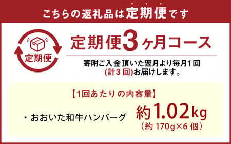 【3カ月定期便】【黒毛和牛】おおいた和牛ハンバーグ 計約1.02kg（約170g×6個）×3回 計約3.06kg