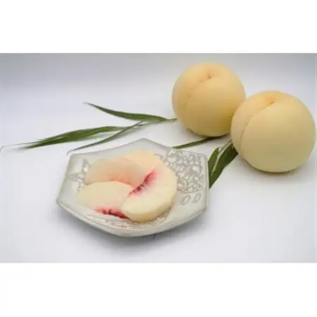 2026年先行予約　岡山白桃　ロイヤル　(1箱3玉入り)800g_果物・フルーツ もも  モモ 桃_【配送不可地域：離島】【1598070】