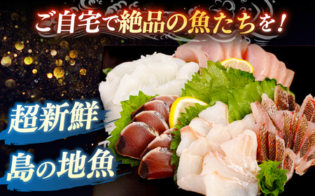 【全2回定期便】 【勝本漁港直送】壱岐島の刺身盛りセット ≪壱岐市≫【あかりや】 冷凍配送 刺身 小分け 産地直送 24000円 お刺身 刺し身 寿司 海鮮 [JFO005]