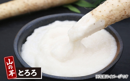 【全6回定期便】山の芋3種セット[APAD007] 冷凍食品 おかず 惣菜