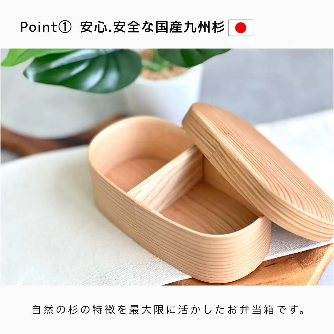 国産杉 ふっくら蓋 曲げわっぱ 弁当箱 まげわっぱ 白木［YS155］