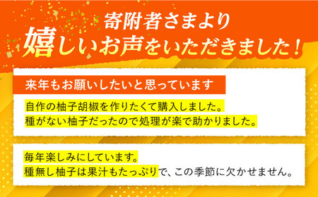 【2026年先行予約】種なし柚子 2kg ＜2026年11月中旬より順次発送＞[APAQ001] ゆず