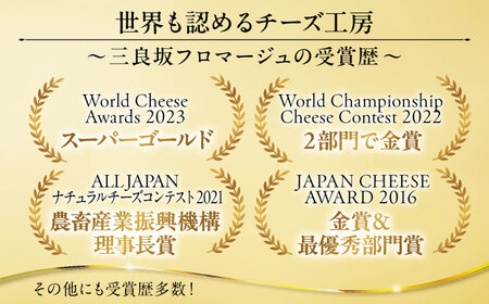 チーズ＆ヨーグルトセット[APAV003] チーズ