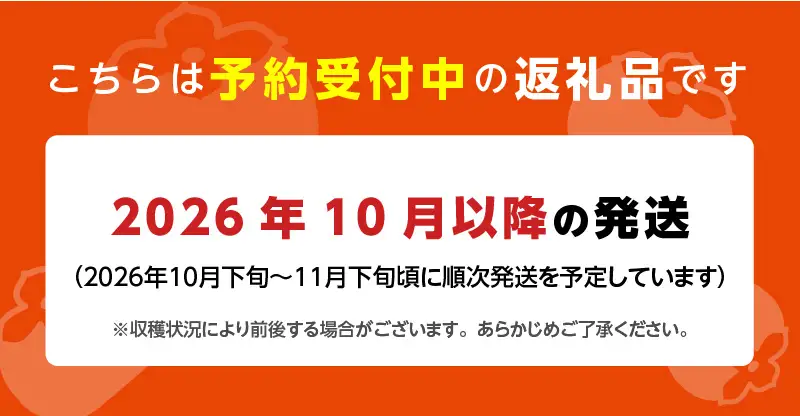 【2026年10月以降お届け】秋王1.5kg箱_柿 秋王 選べる 内容量 1.5kg 箱 4 ～ 6玉 冷蔵 甘柿 新品種 糖度 約17度 高糖度 種少ない 食感 オリジナル ブランド甘柿 デザート 果物 お取り寄せ お取り寄せフルーツ 食品 食べ物 国産 フルーツ 福岡県 久留米市 送料無料 〔Fk111〕