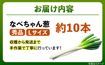 ねぎ【2026年11月発送開始】なべちゃん葱  Lサイズ2.5kg 約10本 [AICO003]