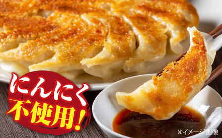 ぎょうざ しょうが餃子[APAZ046]ぎょうざ