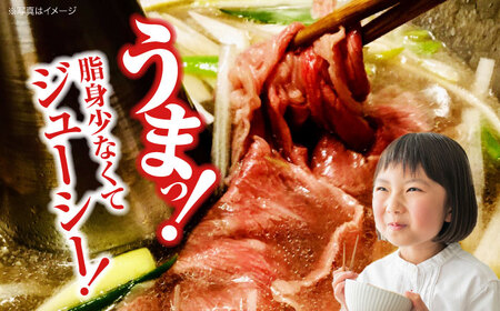【全6回定期便】牛肉 牛しゃぶ用 300g [APAZ067] 牛肉