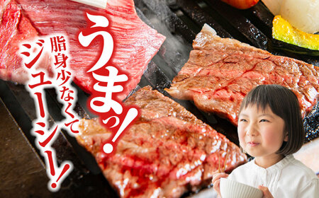 【全2回定期便】牛肉 焼肉 肩ロース 300g [APAZ069] 牛肉