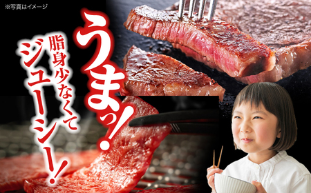 【全6回定期便】牛肉 肩ロース・サーロインセット [APAZ075] 牛肉