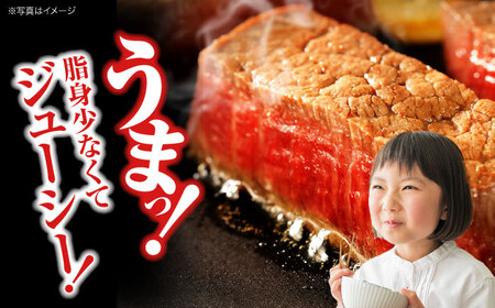 【全6回定期便】牛肉 広島牛サーロインステーキ 400g [APAZ083] 牛肉 ステーキ