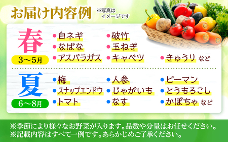 【全2回定期便】厳選！農夫の野菜詰め合わせセット[APBA014] 野菜