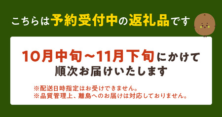 【2026年10月以降お届け】甘うぃ3kg箱_甘い キウイ 甘うぃ キウイフルーツ 3kg 国産 甘みの強い 果実 黄色味 福岡 オリジナル品種 濃厚 まろやか 高糖度 フルーツ 果物 ヨーグルト スムージー ジュース デザート 福岡県 久留米市 お取り寄せ お取り寄せフルーツ 送料無料 〔Fx018〕