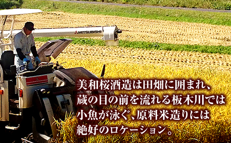 美和桜純米酒720ml[APBF002] 日本酒 純米酒