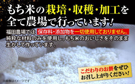 【先行予約】お正月セット ＜12月25日?年内順次発送＞ もち 黒豆 セット [APBM001] もち