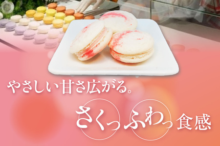 常滑いちごのマカロン10個セット | いちご 苺 ストロベリー マカロン お菓子 発酵 バター バタークリーム ご褒美 プレゼント 数量限定 パティスリーマージュ 愛知県 常滑市