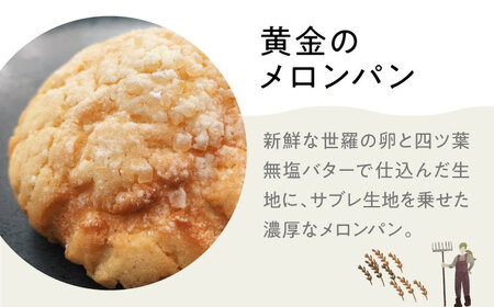 豊かな風味パンセレクション8個セット[APCI003] パン 詰め合わせ