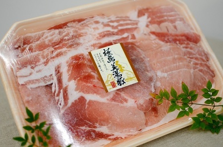 I9-0401／【6回定期便】鹿児島県産 桜島美湯豚 よくばりスライス 500g×3P（計9kg）