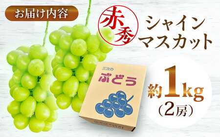 ぶどうシャインマスカット 1kg 赤秀 [APCM001] ぶどう