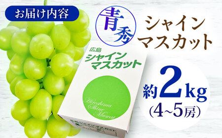 【2026年先行予約】シャインマスカット 2kg 青秀 [APCM004] シャインマスカット