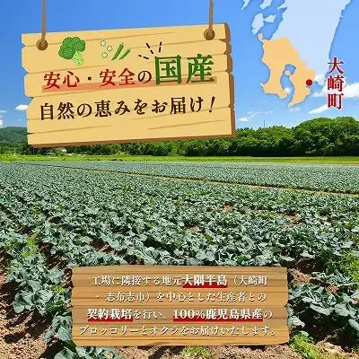 冷凍ブロッコリー4袋＆冷凍オクラ2袋セット