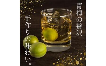 青梅 3kg 【tcs021】