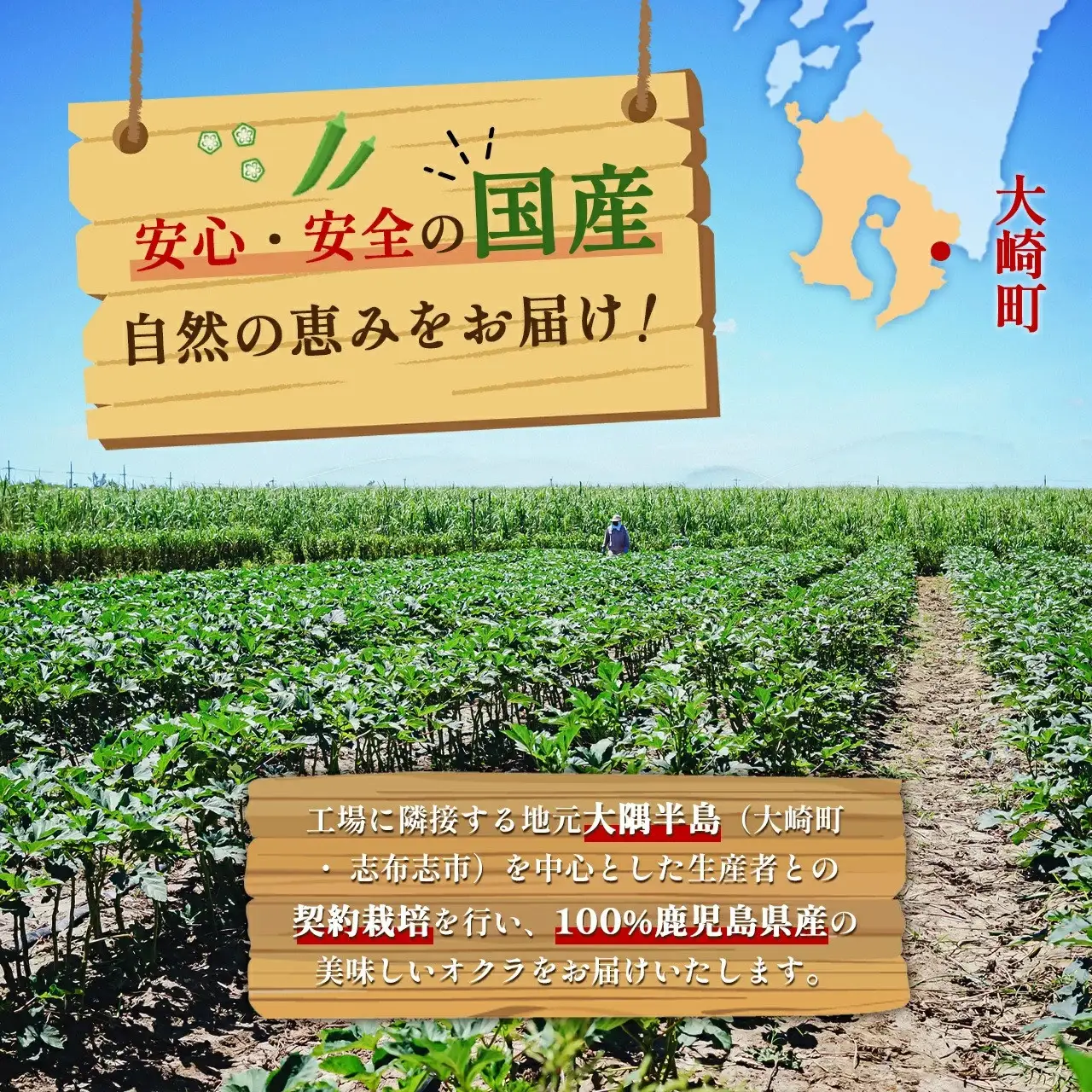冷凍ブロッコリー5袋＆冷凍オクラ3袋セット