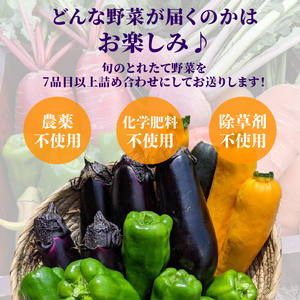 【先行受付】【定期便】旬のお野菜セット 詰め合わせ 3ヶ月定期便（7～10品目） 定期便 3か月 3回 旬 野菜 国産 こだわり野菜セット 京都府産野菜セット 京丹波町産野菜セット 季節 セット 野菜セット