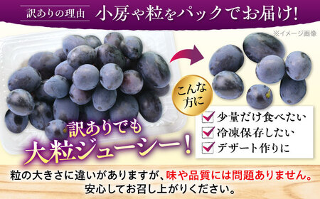 ぶどう ピオーネ 約1kg 訳あり [APCM006] 葡萄 ブドウ フルーツ