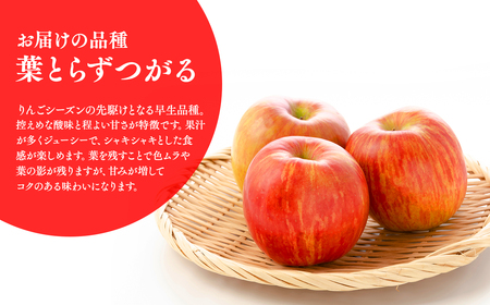 ≪2026年8月下旬頃より発送≫青森県産 訳あり つがる 約3kg【青森県 平川市 なるみ農園】家庭用 訳アリ 青森 青森県産 平川 りんご リンゴ 林檎 くだもの 果物 フルーツ ［hi-0036-002］