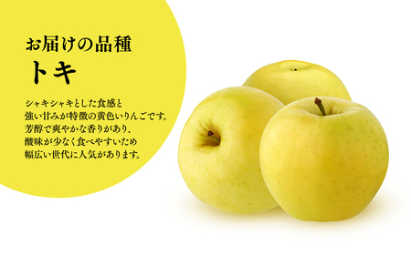 ≪2026年9月中旬頃より発送≫青森県産 訳あり トキ 約3kg【青森県 平川市 なるみ農園】家庭用 訳アリ 青森 青森県産 平川 りんご リンゴ 林檎 くだもの 果物 フルーツ［hi-0036-003］ 