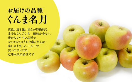 【レビューキャンペーン】≪2026年10月下旬頃より発送≫ 訳あり ぐんま名月 約3kg 青森県平川市産[hi-0036-005]